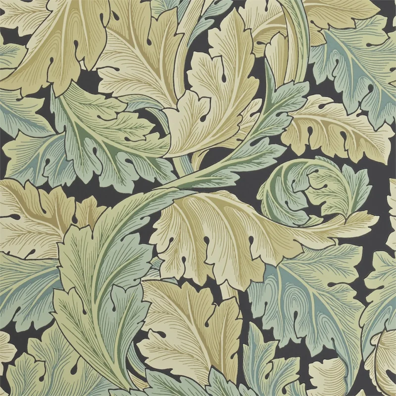 Acanthus Privet Retour Gratuit